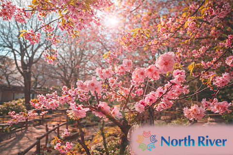 新年度に向けて🌸